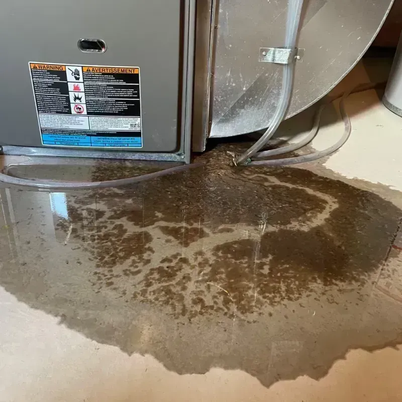 Appliance Leak Cleanup in Pearl, MS